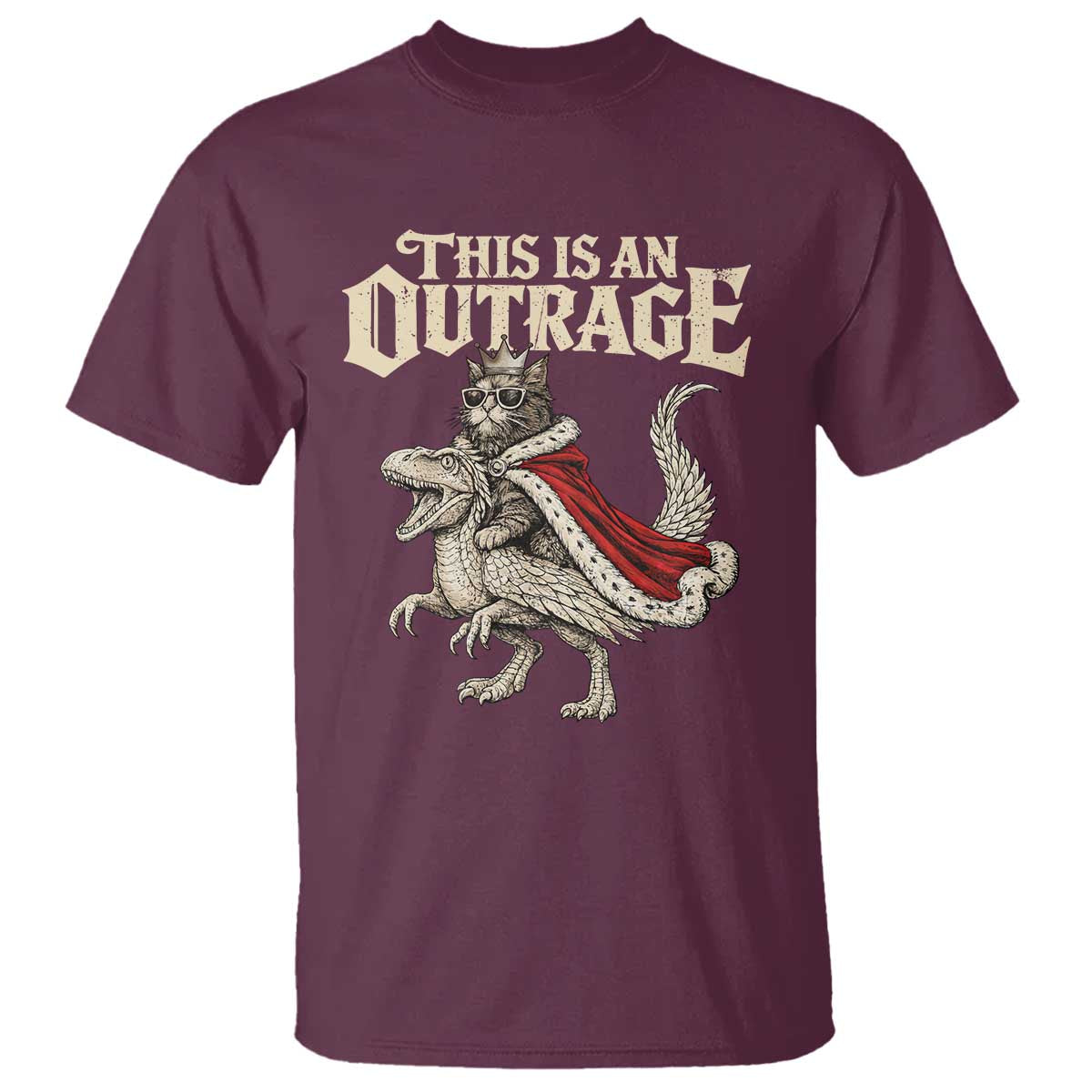 This Is an Outrage Royal Cat T Shirt Funny Princess Cat Riding Dragon Fantasy