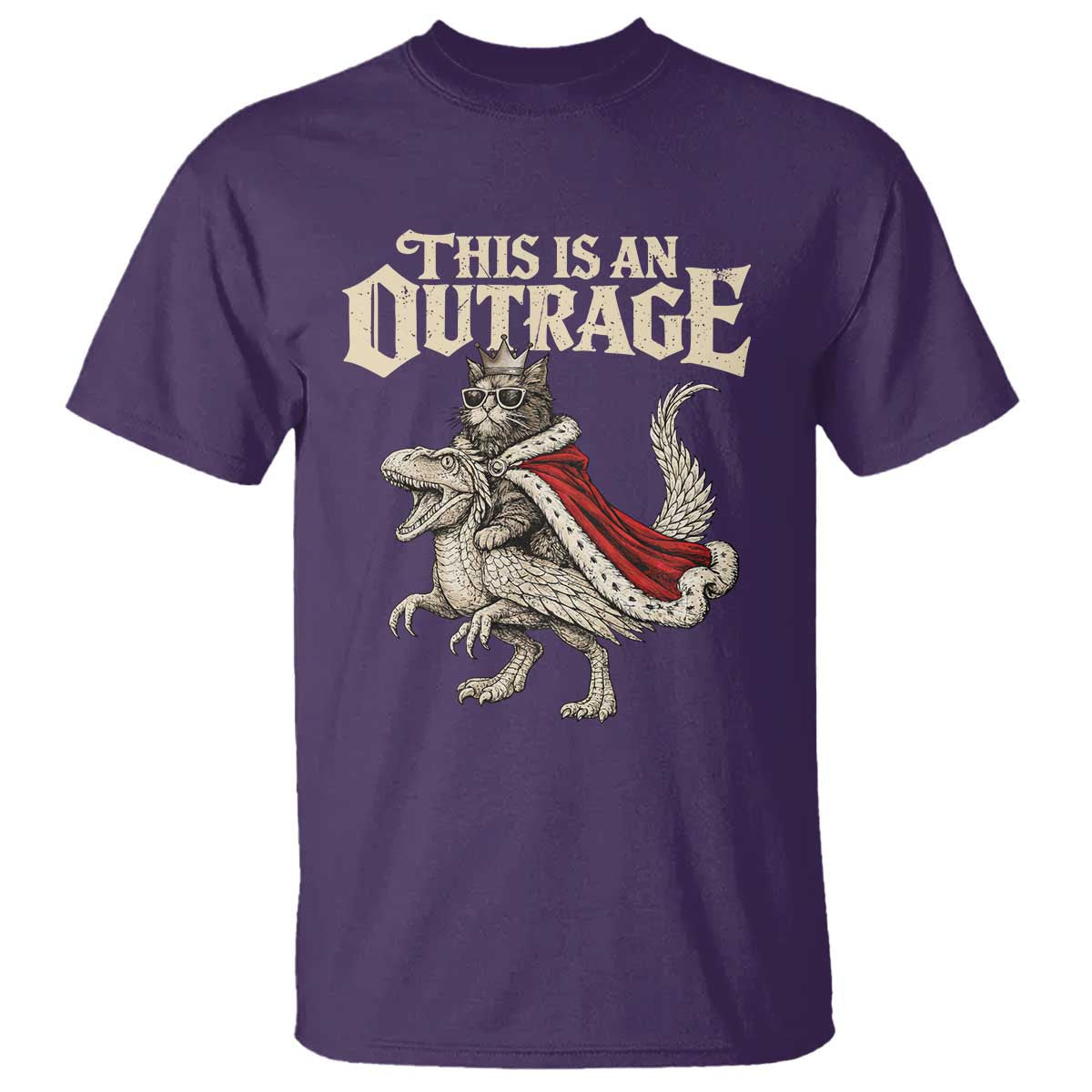 This Is an Outrage Royal Cat T Shirt Funny Princess Cat Riding Dragon Fantasy