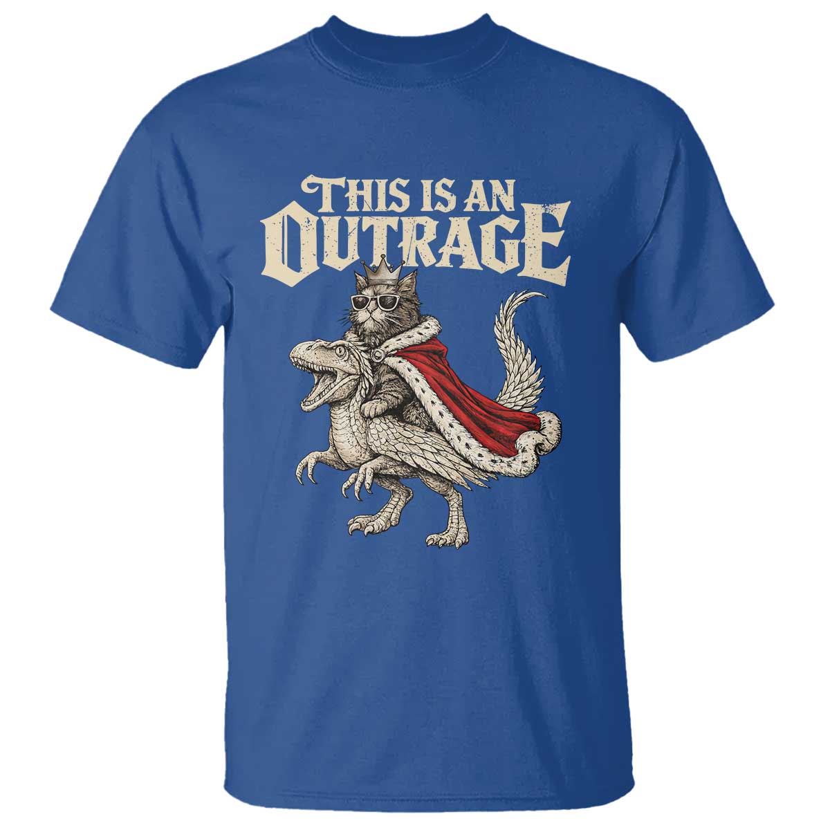 This Is an Outrage Royal Cat T Shirt Funny Princess Cat Riding Dragon Fantasy