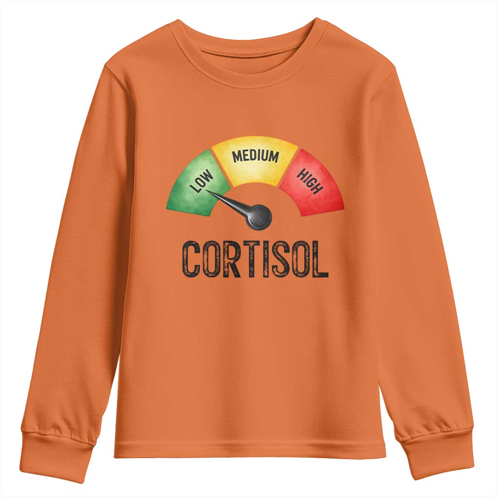 Funny Low Cortisol Stress Meter Youth Sweatshirt Low Medium High Anxiety Humor