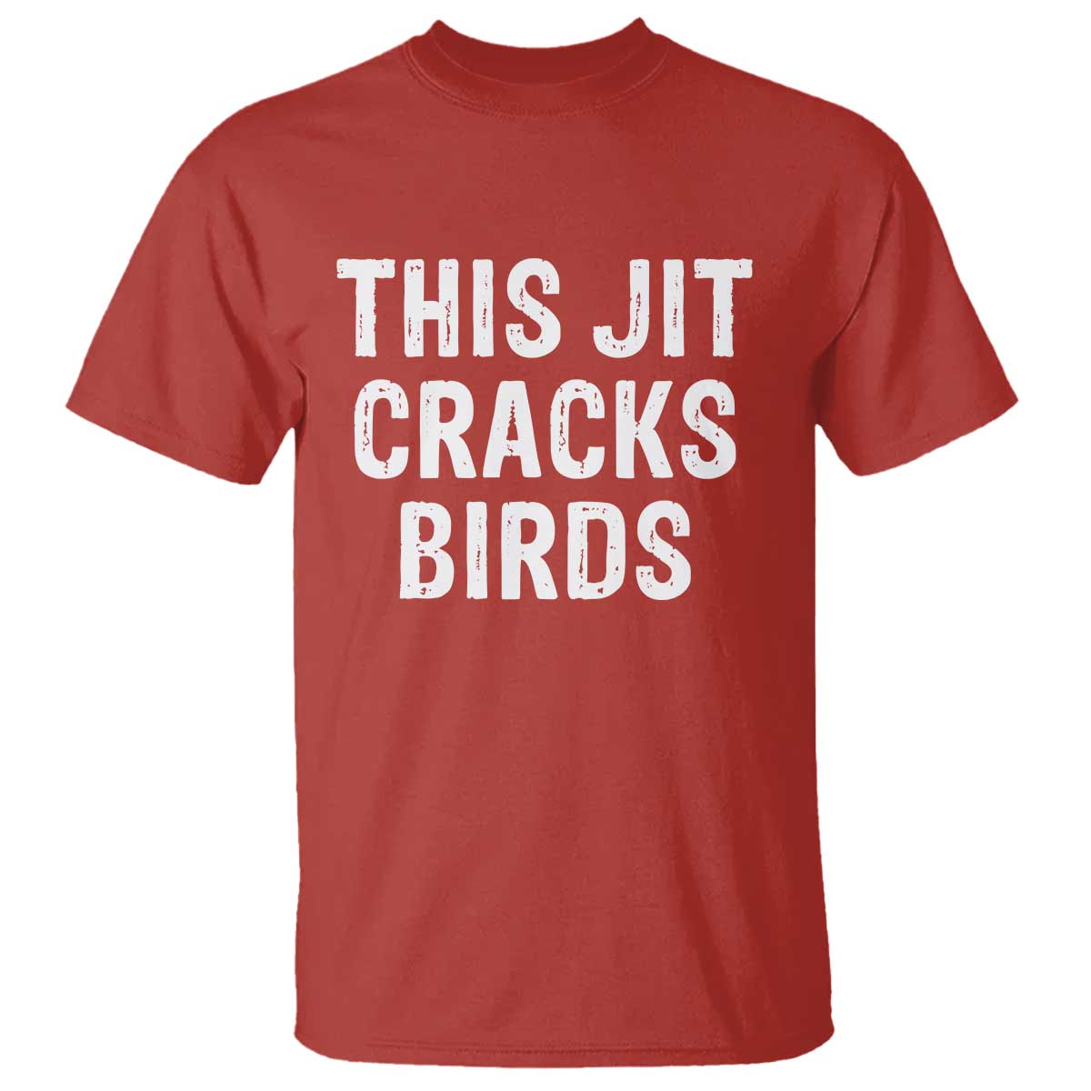 This Jit Cracks Birds T Shirt Funny Gen Z Meme Viral Slang Culture - Wonder Print Shop