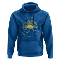 Gulf of Mexico Hoodie Always & Forever Vintage Sunset Political