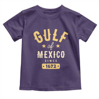 Gulf of Mexico Since 1672 Toddler T Shirt Golfo de Mexico Classic Vintage