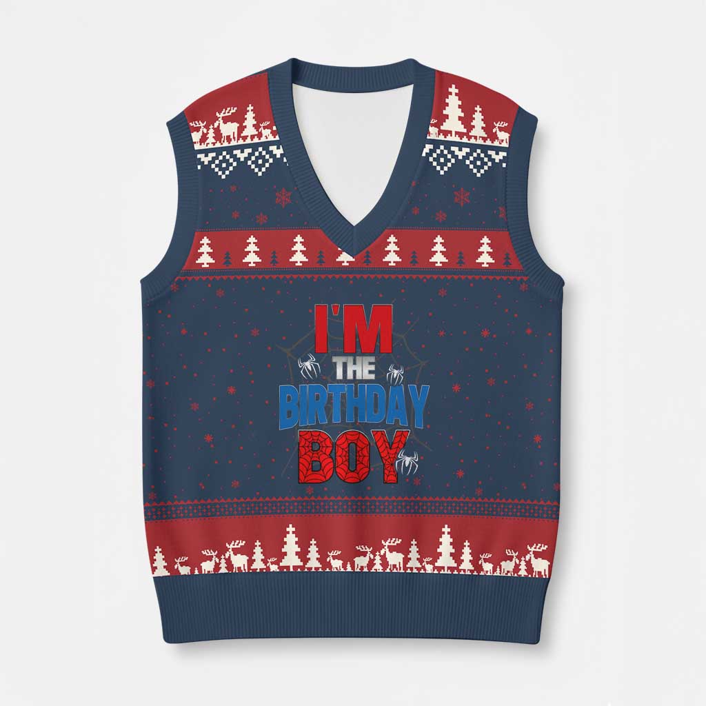 Spider Birthday Boy V-Neck Knit Sweater Vest Spiders Lover Bday Party - Wonder Print Shop