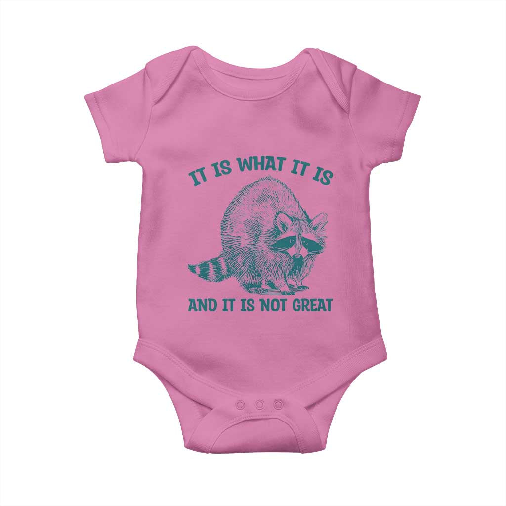 Funny Raccoon Meme It Is What It Is Baby Onesie And It Is Not Great Mental Health Support - Wonder Print Shop