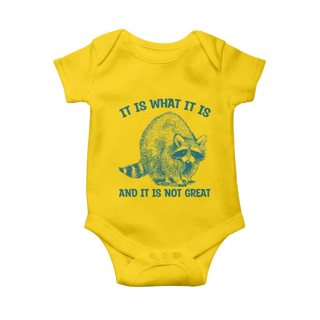 Funny Raccoon Meme It Is What It Is Baby Onesie And It Is Not Great Mental Health Support - Wonder Print Shop