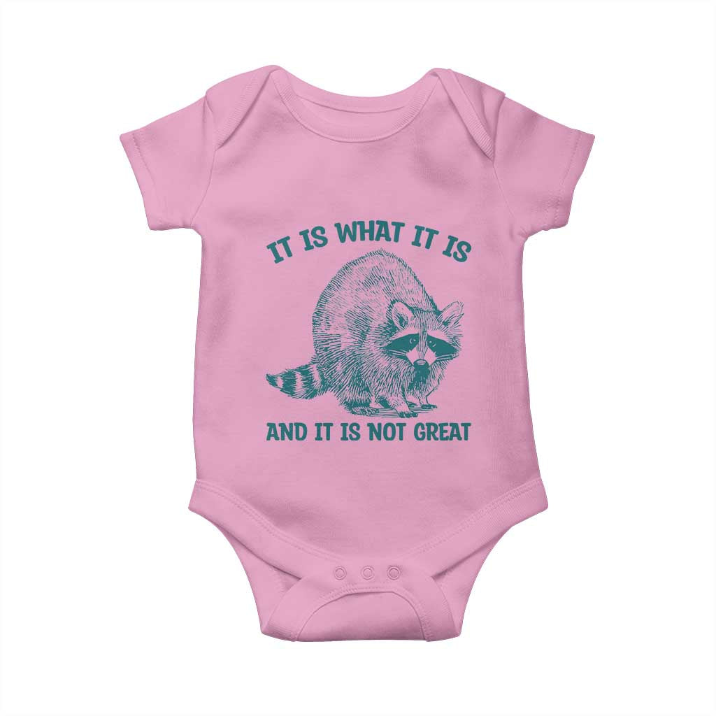 Funny Raccoon Meme It Is What It Is Baby Onesie And It Is Not Great Mental Health Support - Wonder Print Shop