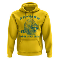 Funny Raccoon Meme It Is What It Is Hoodie And It Is Not Great Mental Health Support - Wonder Print Shop