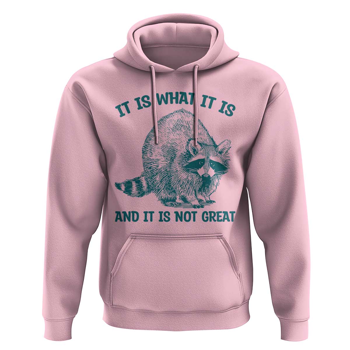 Funny Raccoon Meme It Is What It Is Hoodie And It Is Not Great Mental Health Support - Wonder Print Shop