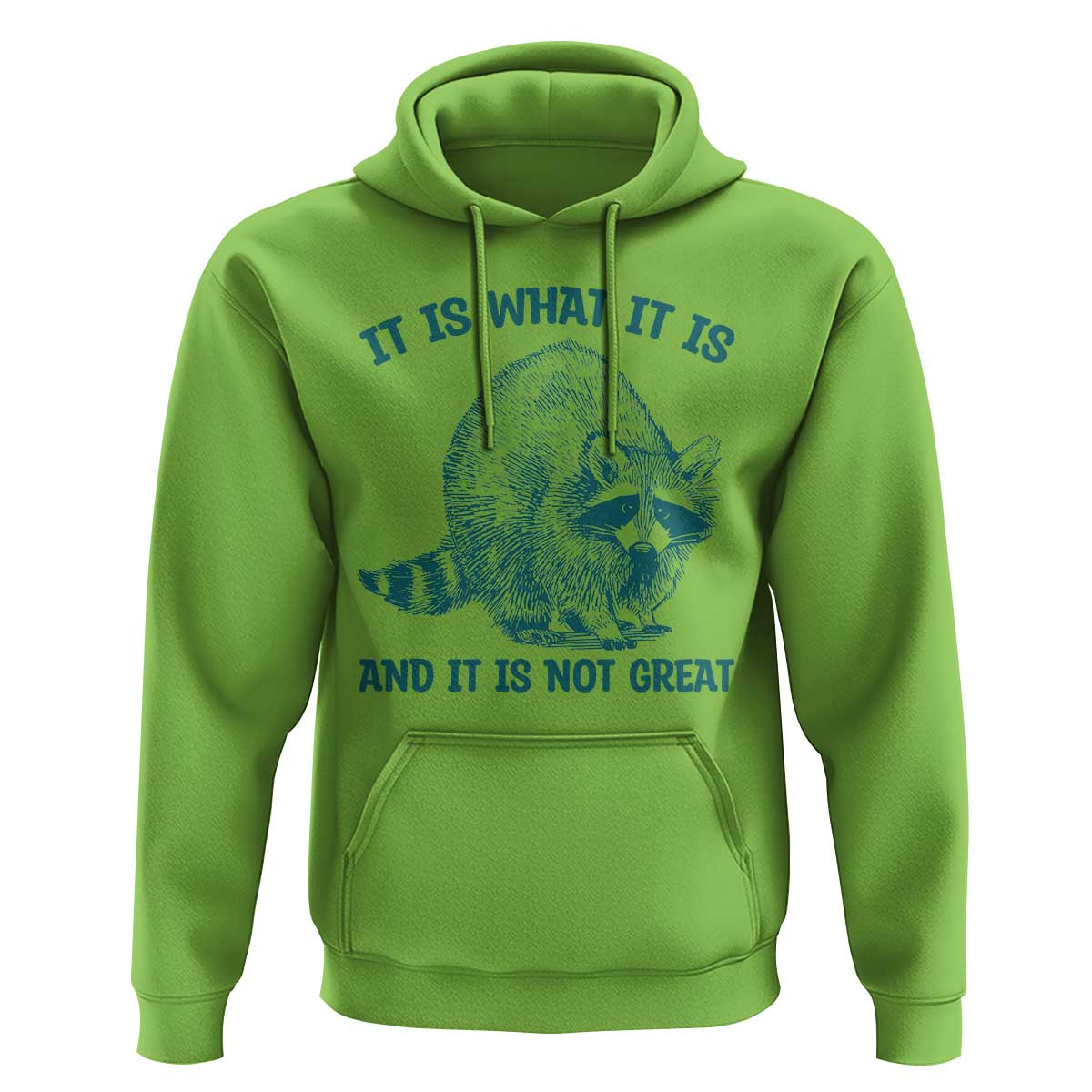 Funny Raccoon Meme It Is What It Is Hoodie And It Is Not Great Mental Health Support - Wonder Print Shop