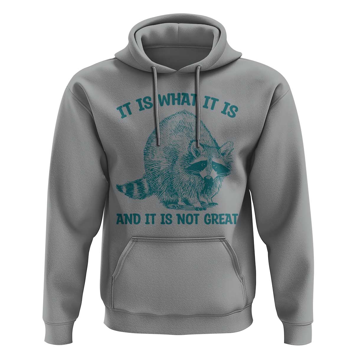 Funny Raccoon Meme It Is What It Is Hoodie And It Is Not Great Mental Health Support - Wonder Print Shop
