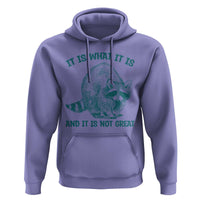 Funny Raccoon Meme It Is What It Is Hoodie And It Is Not Great Mental Health Support - Wonder Print Shop