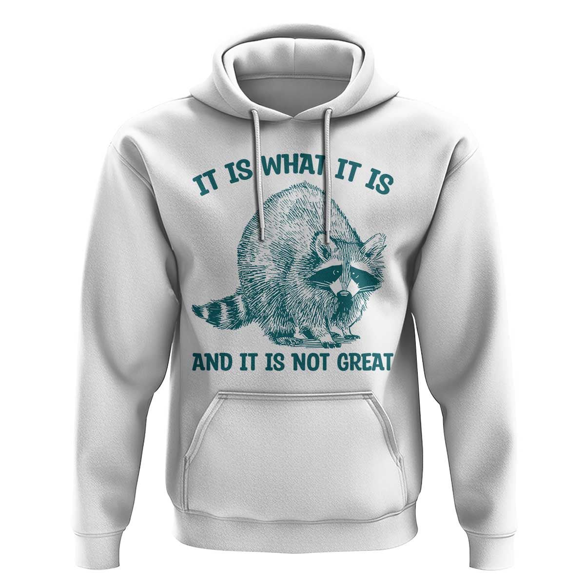Funny Raccoon Meme It Is What It Is Hoodie And It Is Not Great Mental Health Support - Wonder Print Shop