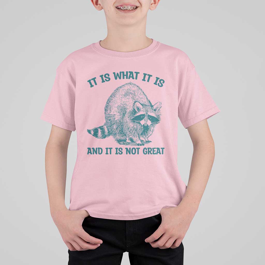 Funny Raccoon Meme It Is What It Is T Shirt For Kid And It Is Not Great Mental Health Support - Wonder Print Shop