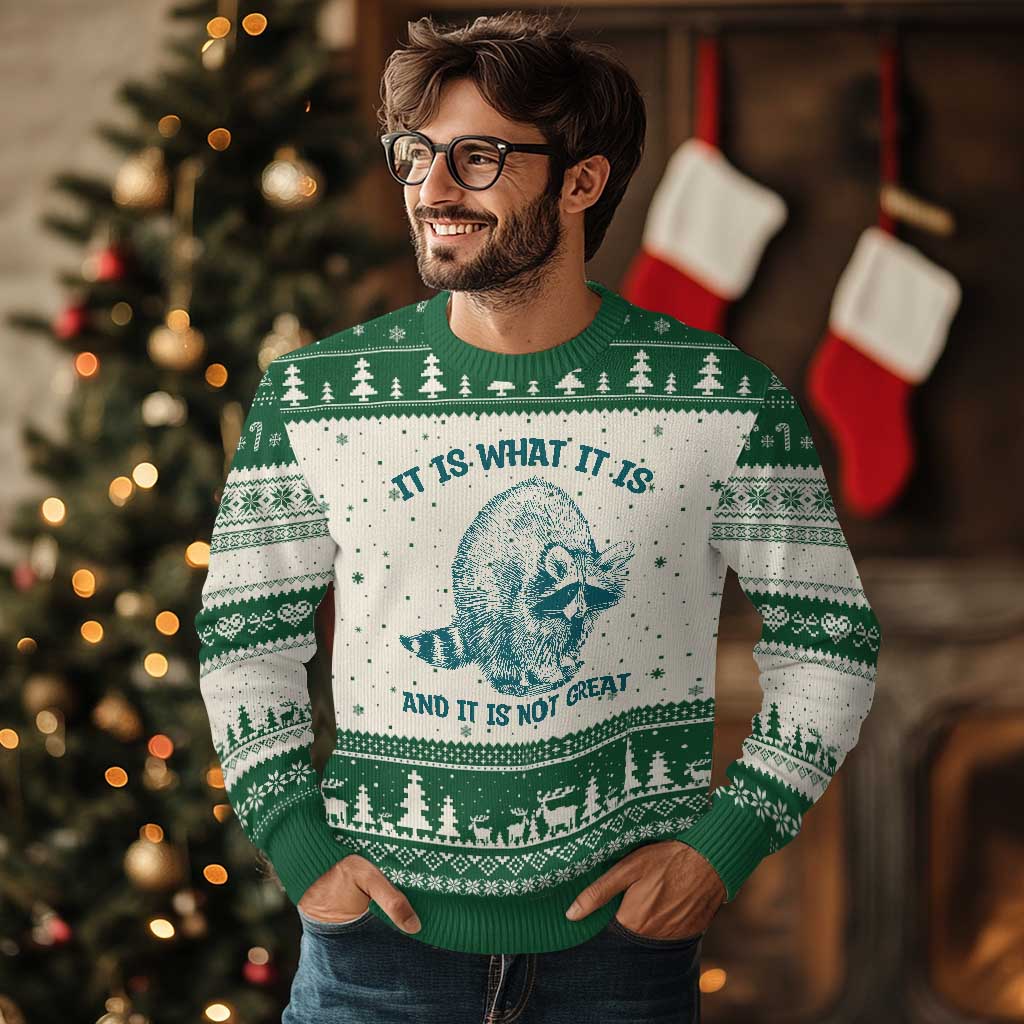 Funny Raccoon Meme It Is What It Is Ugly Christmas Sweater And It Is Not Great Mental Health Support - Wonder Print Shop