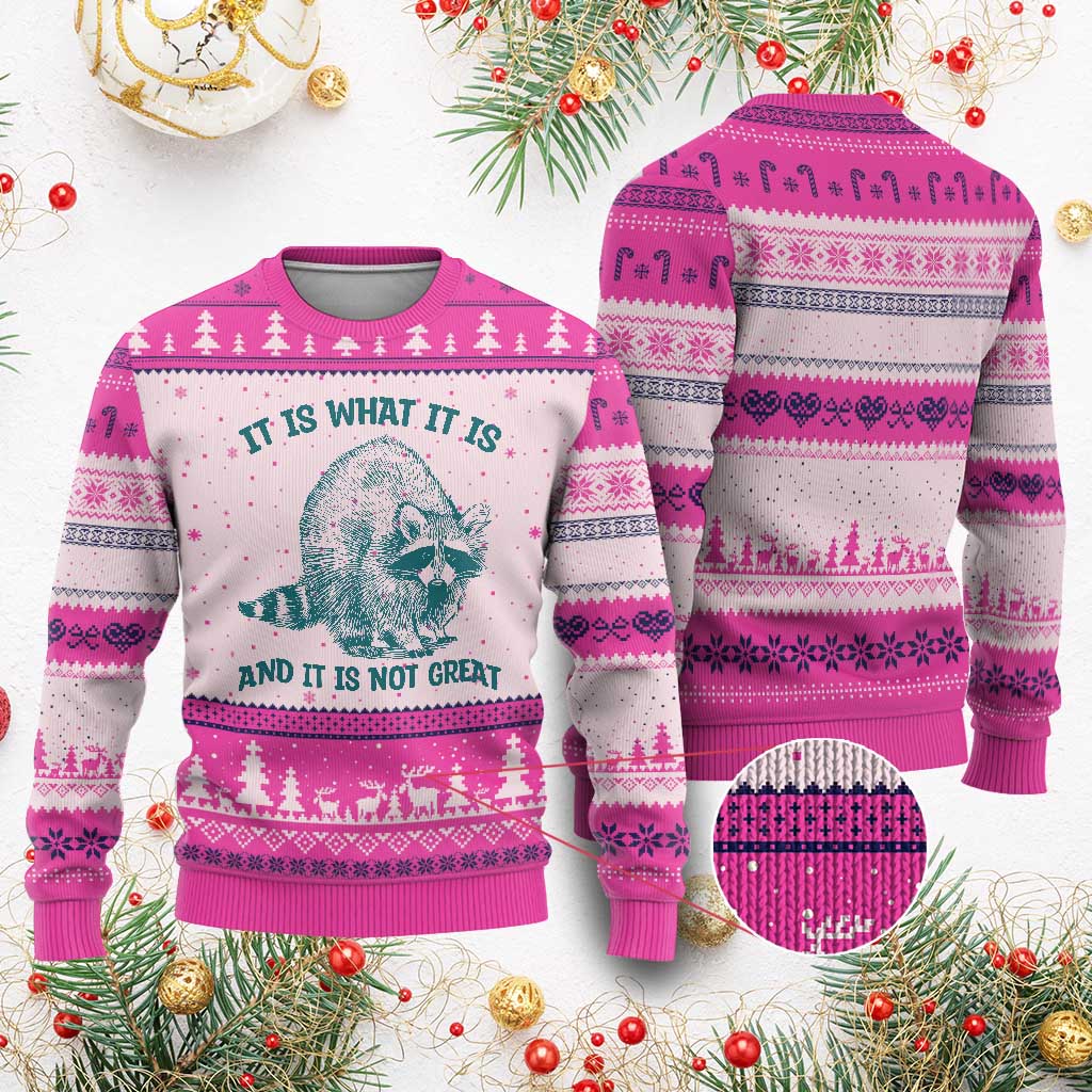 Funny Raccoon Meme It Is What It Is Ugly Christmas Sweater And It Is Not Great Mental Health Support - Wonder Print Shop