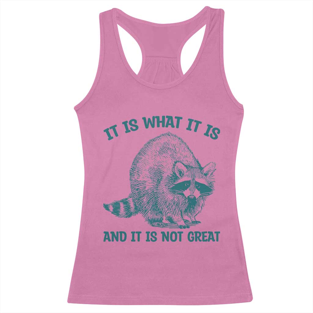 Funny Raccoon Meme It Is What It Is Racerback Tank Top And It Is Not Great Mental Health Support - Wonder Print Shop