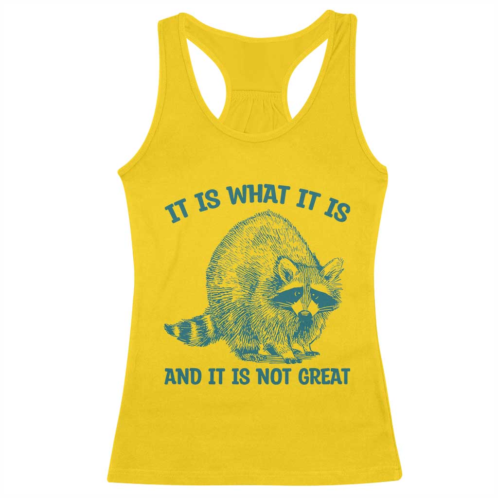 Funny Raccoon Meme It Is What It Is Racerback Tank Top And It Is Not Great Mental Health Support - Wonder Print Shop