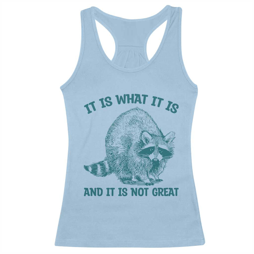 Funny Raccoon Meme It Is What It Is Racerback Tank Top And It Is Not Great Mental Health Support - Wonder Print Shop