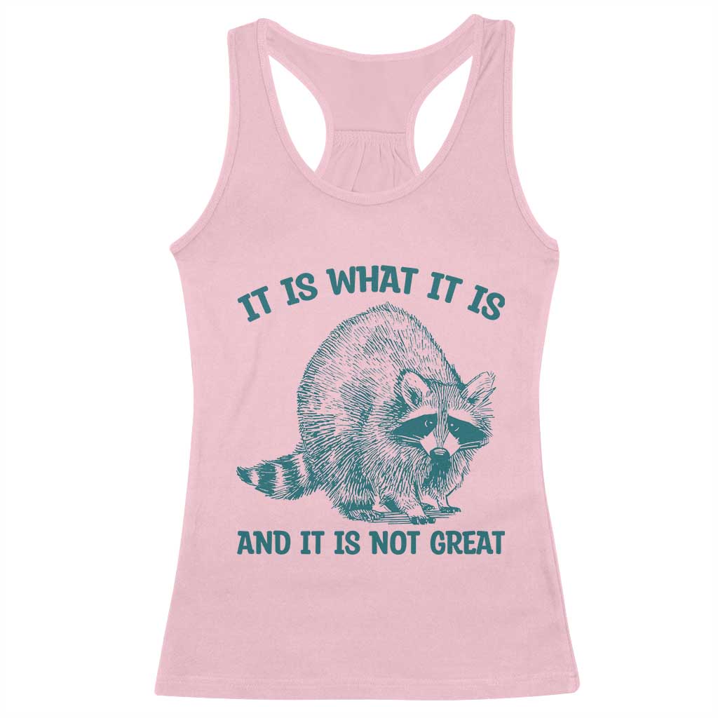 Funny Raccoon Meme It Is What It Is Racerback Tank Top And It Is Not Great Mental Health Support - Wonder Print Shop