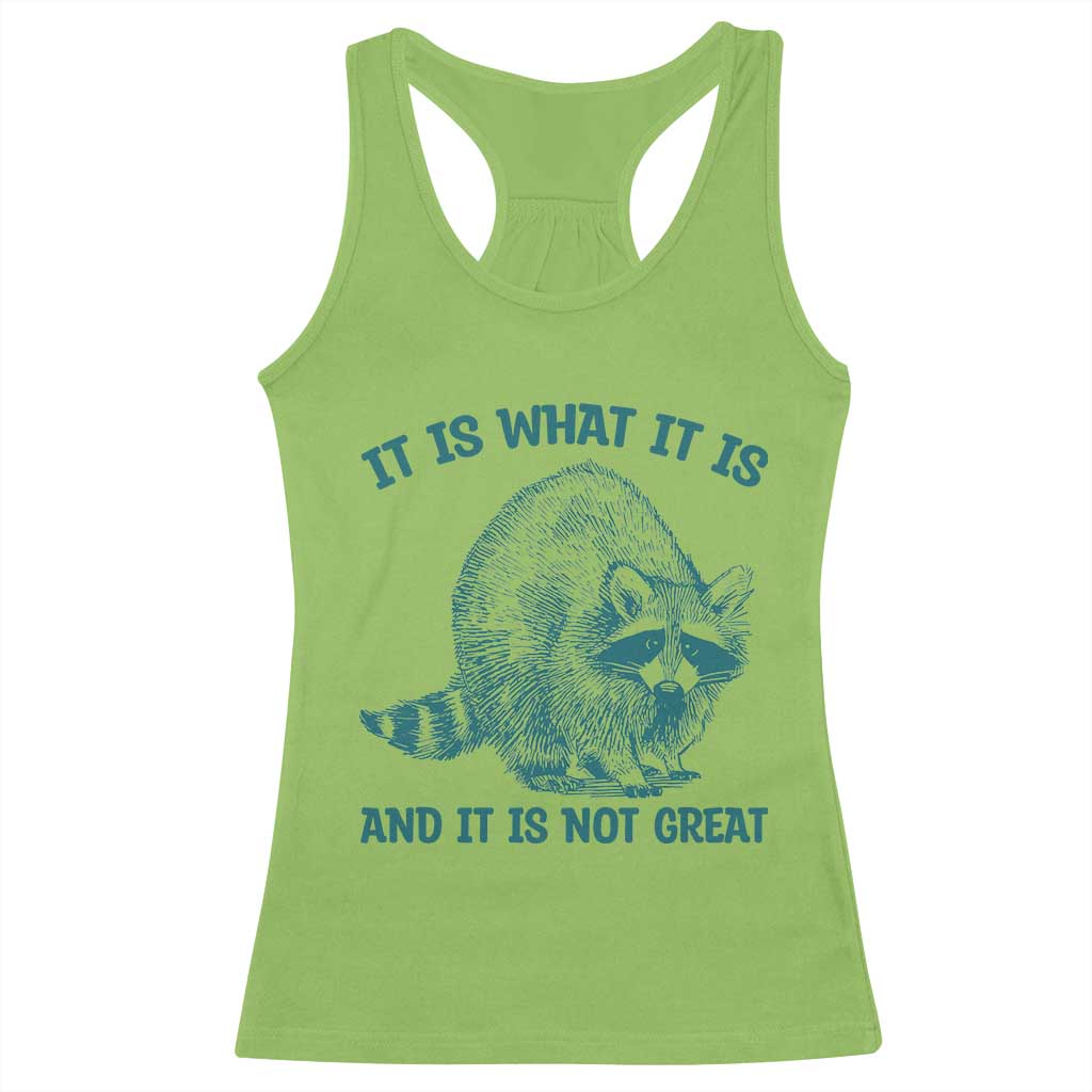 Funny Raccoon Meme It Is What It Is Racerback Tank Top And It Is Not Great Mental Health Support - Wonder Print Shop