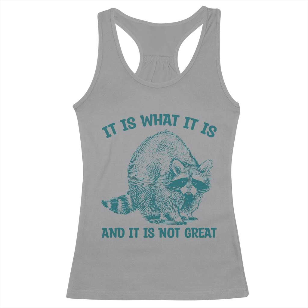 Funny Raccoon Meme It Is What It Is Racerback Tank Top And It Is Not Great Mental Health Support - Wonder Print Shop