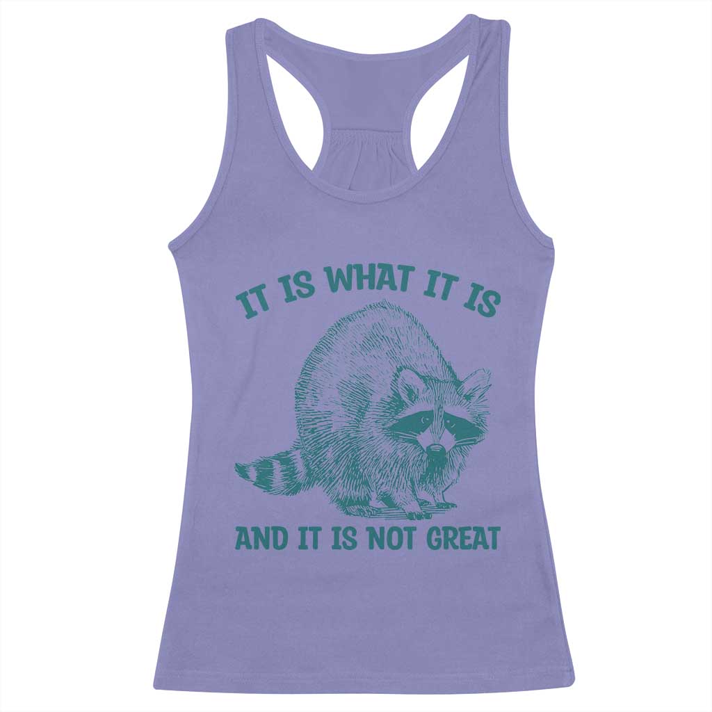 Funny Raccoon Meme It Is What It Is Racerback Tank Top And It Is Not Great Mental Health Support - Wonder Print Shop