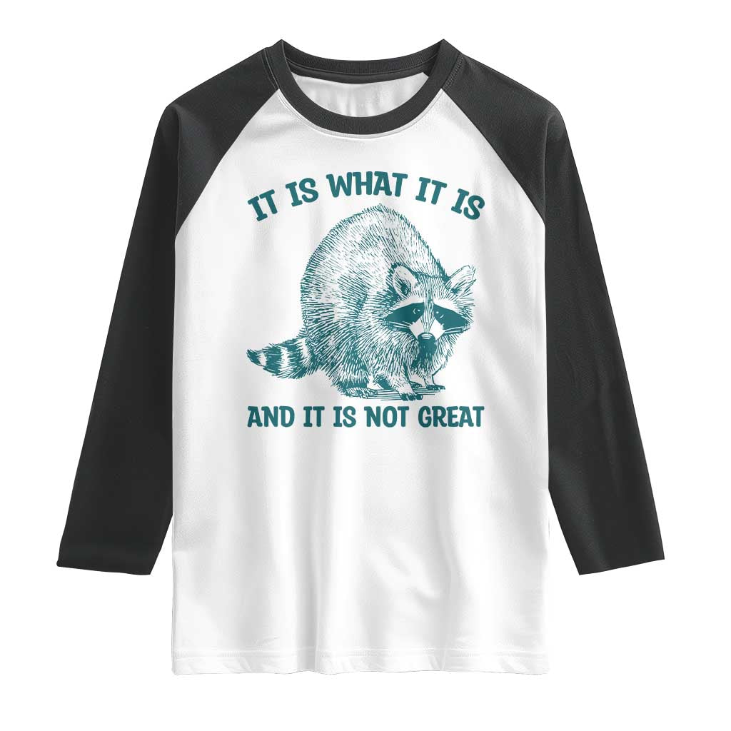 Funny Raccoon Meme It Is What It Is Raglan Shirt And It Is Not Great Mental Health Support - Wonder Print Shop