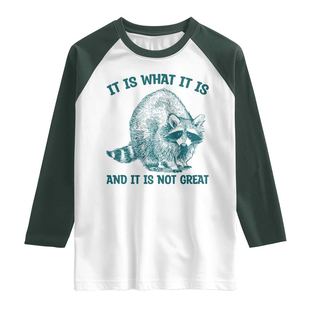 Funny Raccoon Meme It Is What It Is Raglan Shirt And It Is Not Great Mental Health Support - Wonder Print Shop