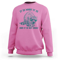 Funny Raccoon Meme It Is What It Is Sweatshirt And It Is Not Great Mental Health Support - Wonder Print Shop