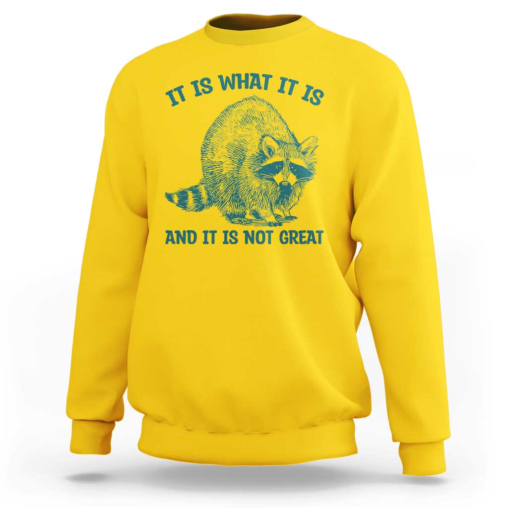 Funny Raccoon Meme It Is What It Is Sweatshirt And It Is Not Great Mental Health Support - Wonder Print Shop