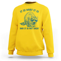 Funny Raccoon Meme It Is What It Is Sweatshirt And It Is Not Great Mental Health Support - Wonder Print Shop