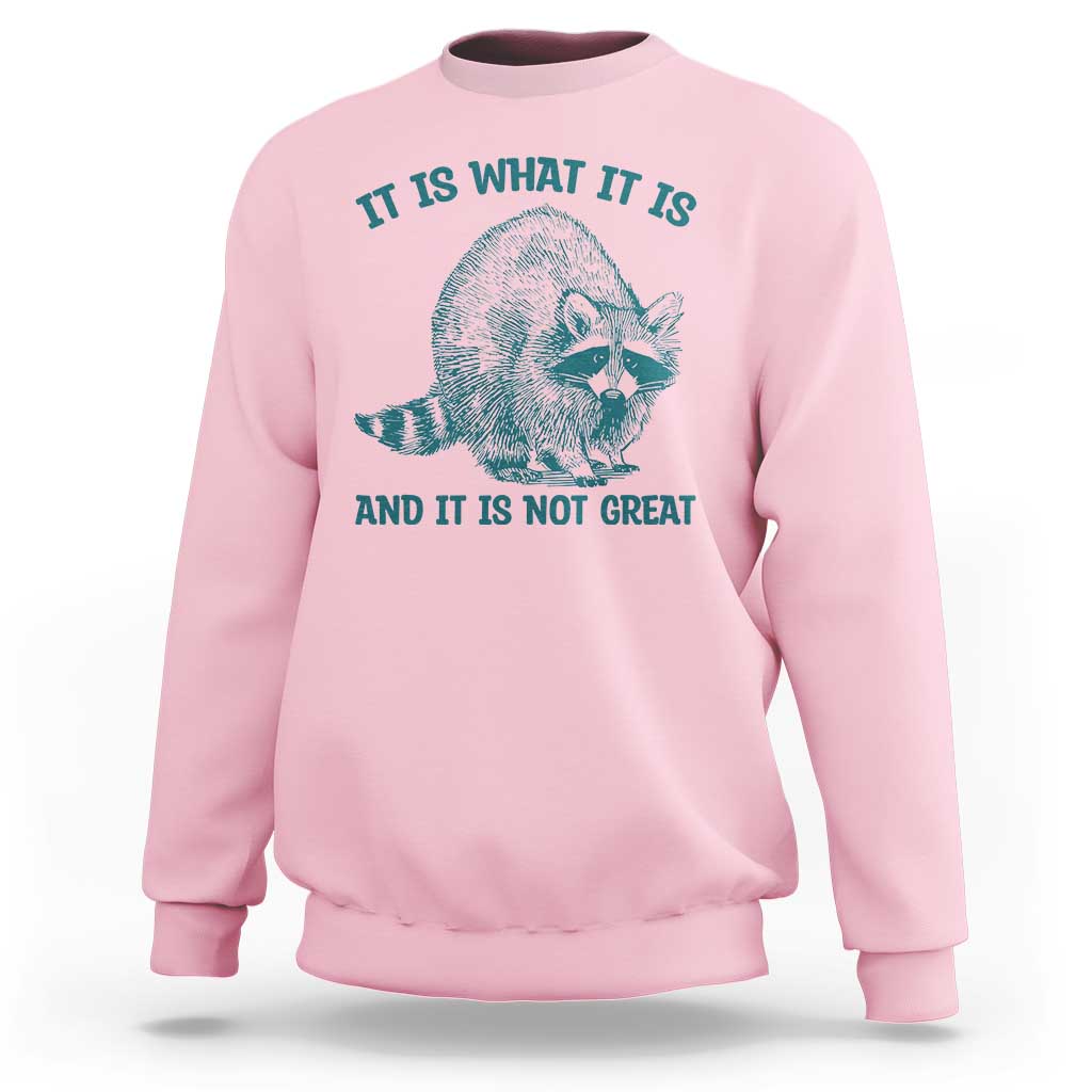 Funny Raccoon Meme It Is What It Is Sweatshirt And It Is Not Great Mental Health Support - Wonder Print Shop