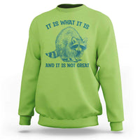 Funny Raccoon Meme It Is What It Is Sweatshirt And It Is Not Great Mental Health Support - Wonder Print Shop
