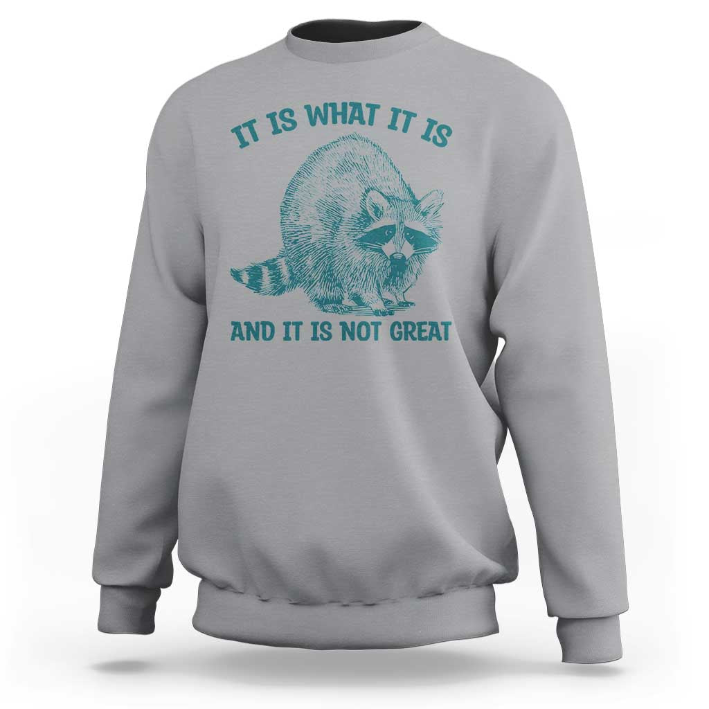 Funny Raccoon Meme It Is What It Is Sweatshirt And It Is Not Great Mental Health Support - Wonder Print Shop