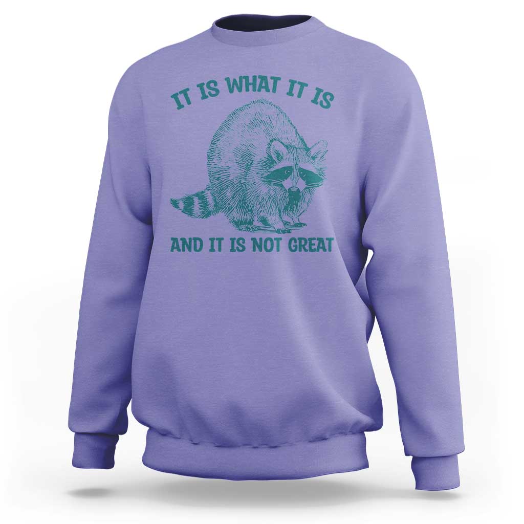 Funny Raccoon Meme It Is What It Is Sweatshirt And It Is Not Great Mental Health Support - Wonder Print Shop