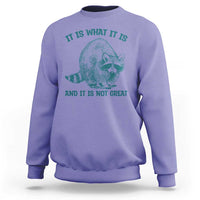 Funny Raccoon Meme It Is What It Is Sweatshirt And It Is Not Great Mental Health Support - Wonder Print Shop