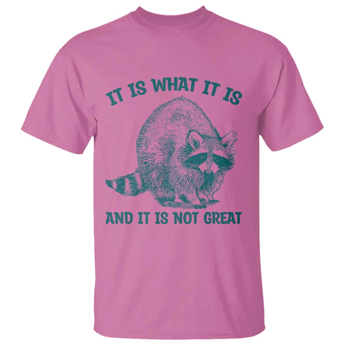 Funny Raccoon Meme It Is What It Is T Shirt And It Is Not Great Mental Health Support - Wonder Print Shop