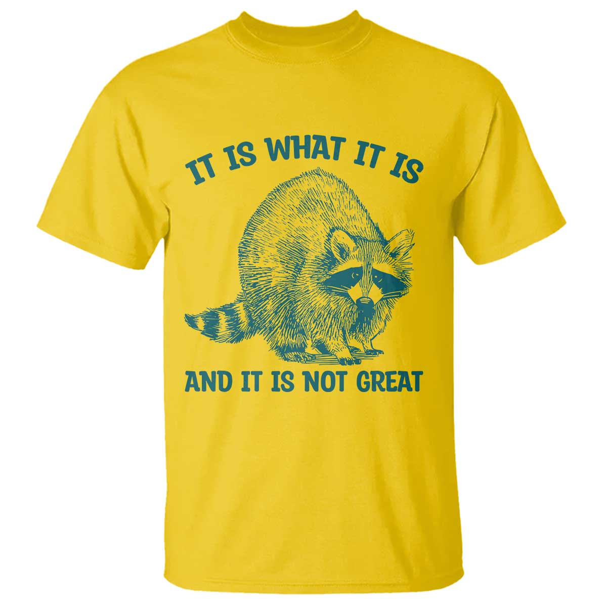 Funny Raccoon Meme It Is What It Is T Shirt And It Is Not Great Mental Health Support - Wonder Print Shop
