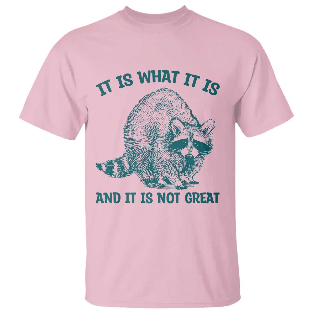 Funny Raccoon Meme It Is What It Is T Shirt And It Is Not Great Mental Health Support - Wonder Print Shop