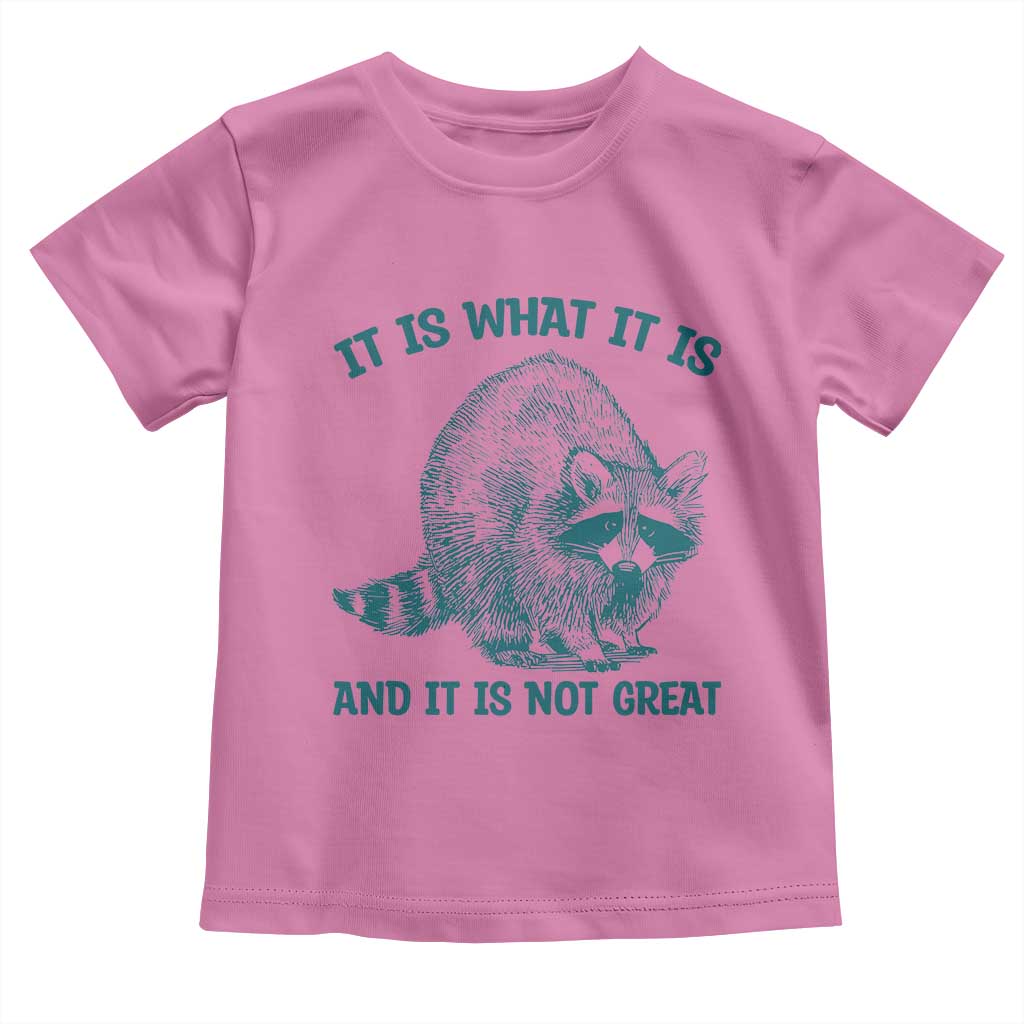 Funny Raccoon Meme It Is What It Is Toddler T Shirt And It Is Not Great Mental Health Support - Wonder Print Shop