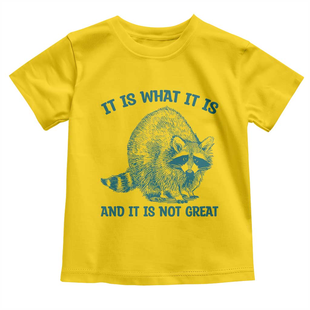 Funny Raccoon Meme It Is What It Is Toddler T Shirt And It Is Not Great Mental Health Support - Wonder Print Shop