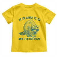 Funny Raccoon Meme It Is What It Is Toddler T Shirt And It Is Not Great Mental Health Support - Wonder Print Shop