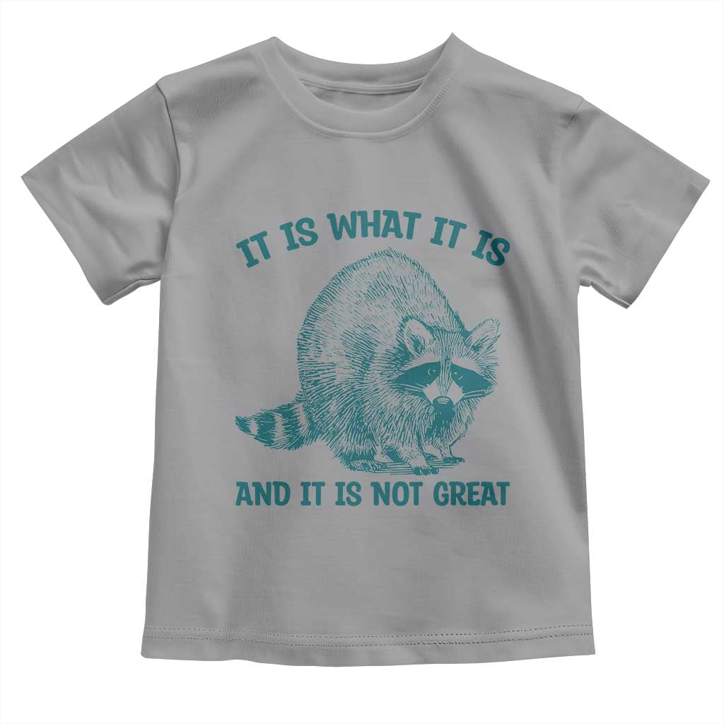 Funny Raccoon Meme It Is What It Is Toddler T Shirt And It Is Not Great Mental Health Support - Wonder Print Shop