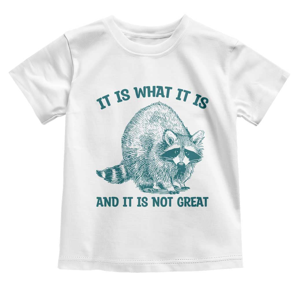 Funny Raccoon Meme It Is What It Is Toddler T Shirt And It Is Not Great Mental Health Support - Wonder Print Shop