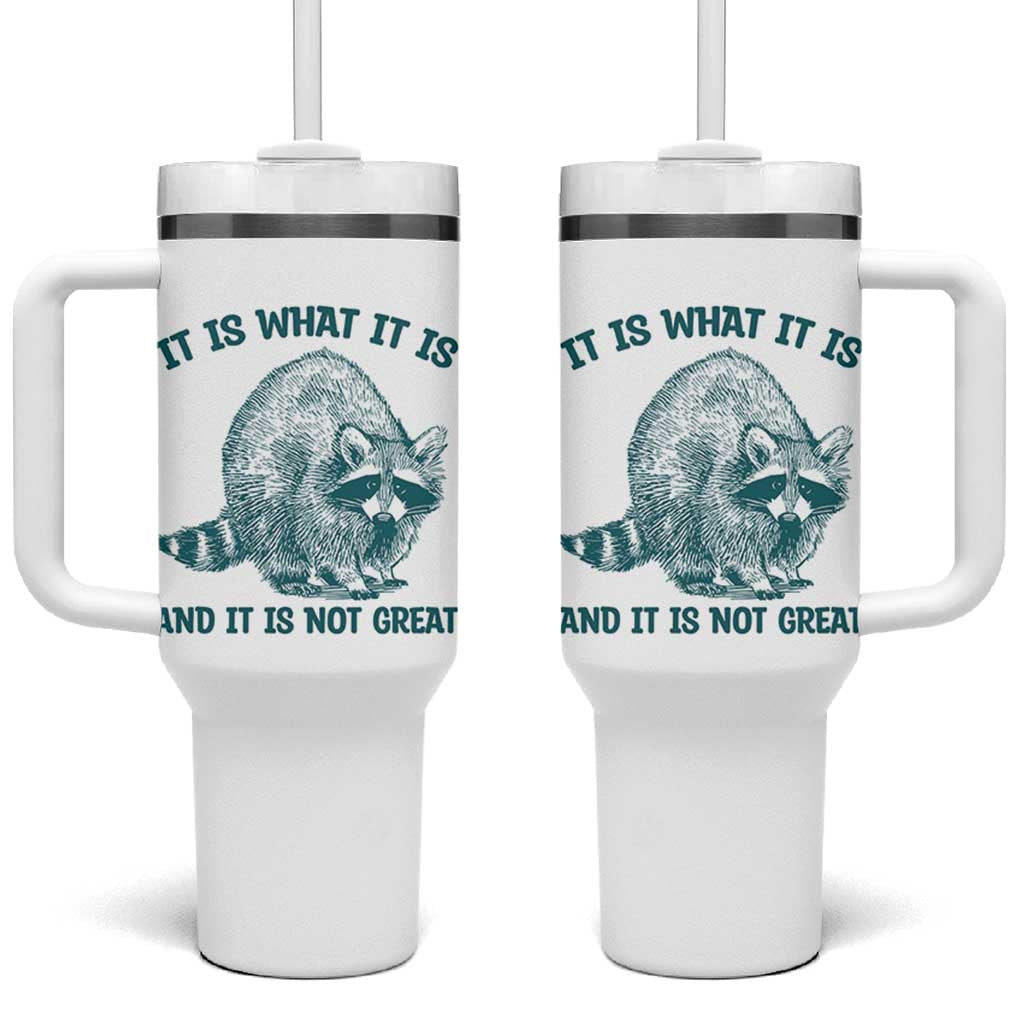 Funny Raccoon Meme It Is What It Is Tumbler With Handle And It Is Not Great Mental Health Support - Wonder Print Shop