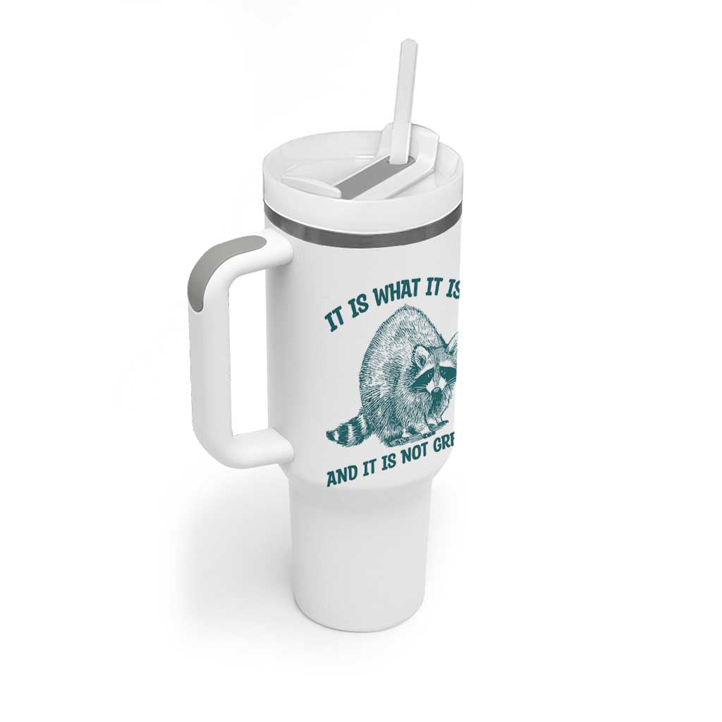 Funny Raccoon Meme It Is What It Is Tumbler With Handle And It Is Not Great Mental Health Support - Wonder Print Shop