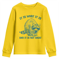 Funny Raccoon Meme It Is What It Is Youth Sweatshirt And It Is Not Great Mental Health Support - Wonder Print Shop