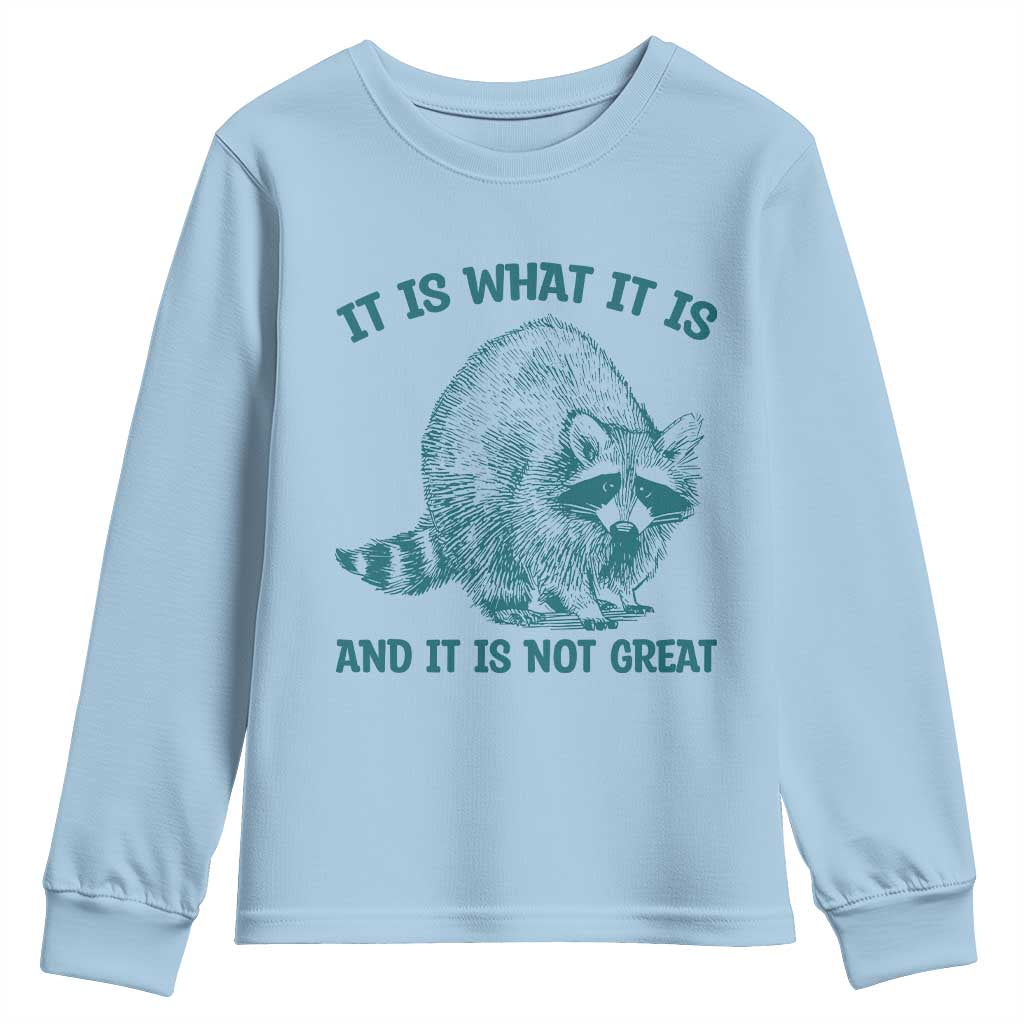 Funny Raccoon Meme It Is What It Is Youth Sweatshirt And It Is Not Great Mental Health Support - Wonder Print Shop