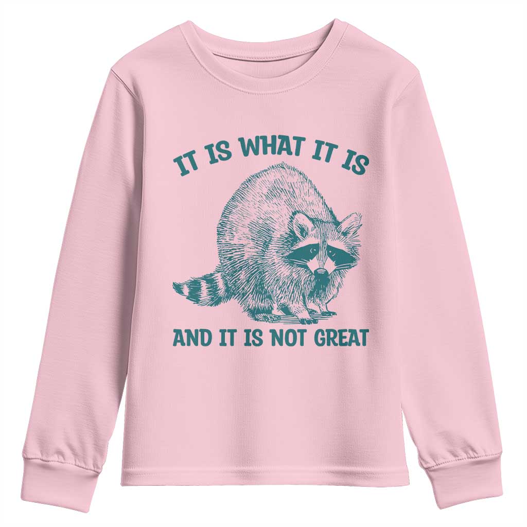 Funny Raccoon Meme It Is What It Is Youth Sweatshirt And It Is Not Great Mental Health Support - Wonder Print Shop